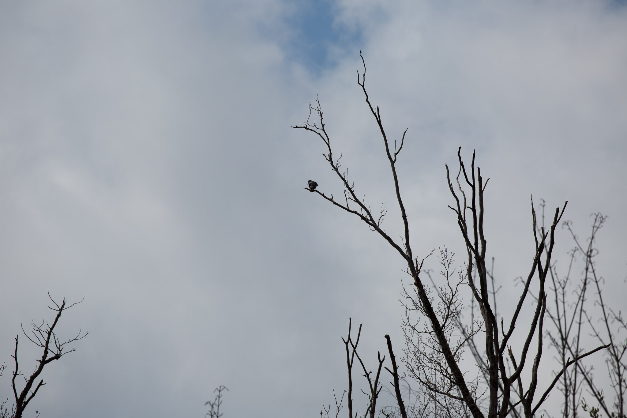 20220409143949 3K6A1906